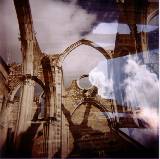 Holga - 20